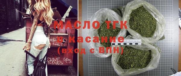 ешки Горняк