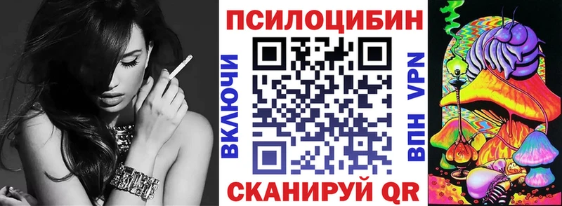 Галлюциногенные грибы Psilocybe  Карачаевск 