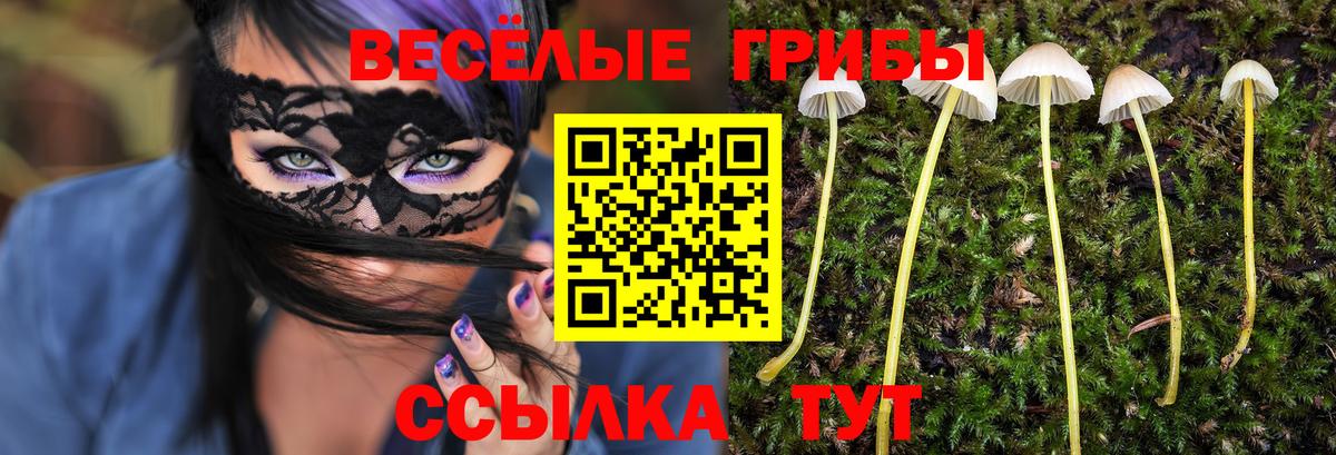 Псилоцибиновые грибы Psilocybine cubensis  Вход с VPN  Карачаевск 