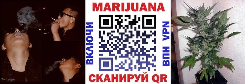 наркотики  OMG маркетплейс  Марихуана гибрид  Карачаевск 